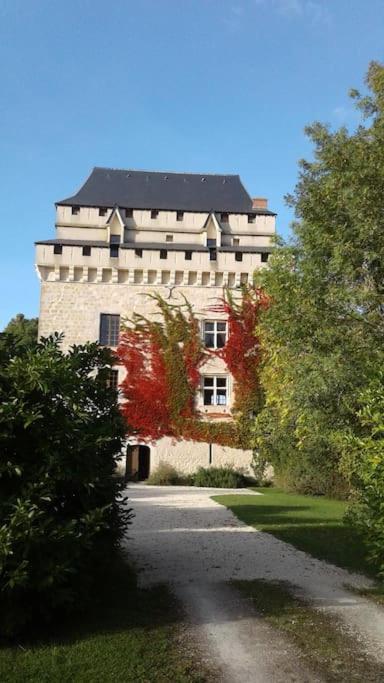 Chateau Dehes Gazaupouy 1 Chambre D'Hote Et 1 Gite 빌라 외부 사진