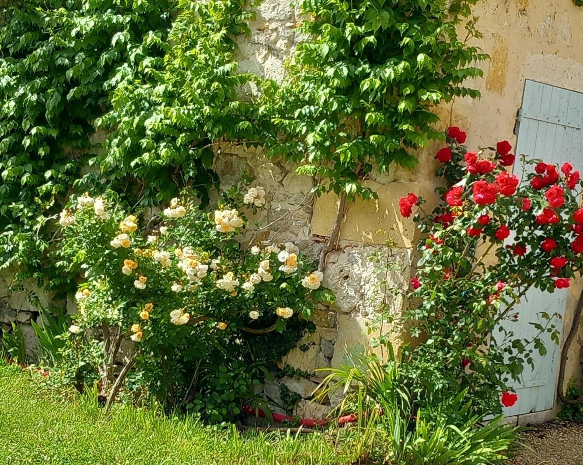 Chateau Dehes Gazaupouy 1 Chambre D'Hote Et 1 Gite 빌라 외부 사진